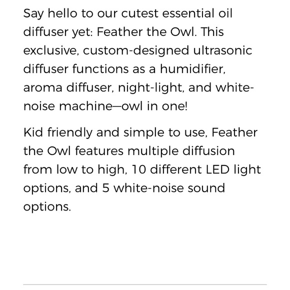 Essential Oil Diffuser, Nightlight, White Noise Machine - Picture 2 of 4